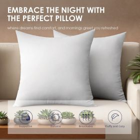 White Square Pillow Two Bubble Bags Suitable For Bed Cushions, Sofa Cushions, Garden Cushions, Cushion Core, Breathable, Hand Washable, OKO-100 C (Option: 45x45X15cm)